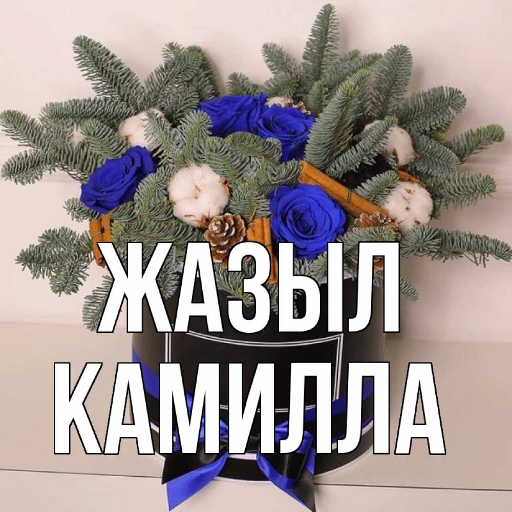 Күн сайын ашық хат с именем, Камилла Жазыл короче кто то загрузил эти шишки Онлайн тегін жүктеп алу тілектері бар керемет карта 