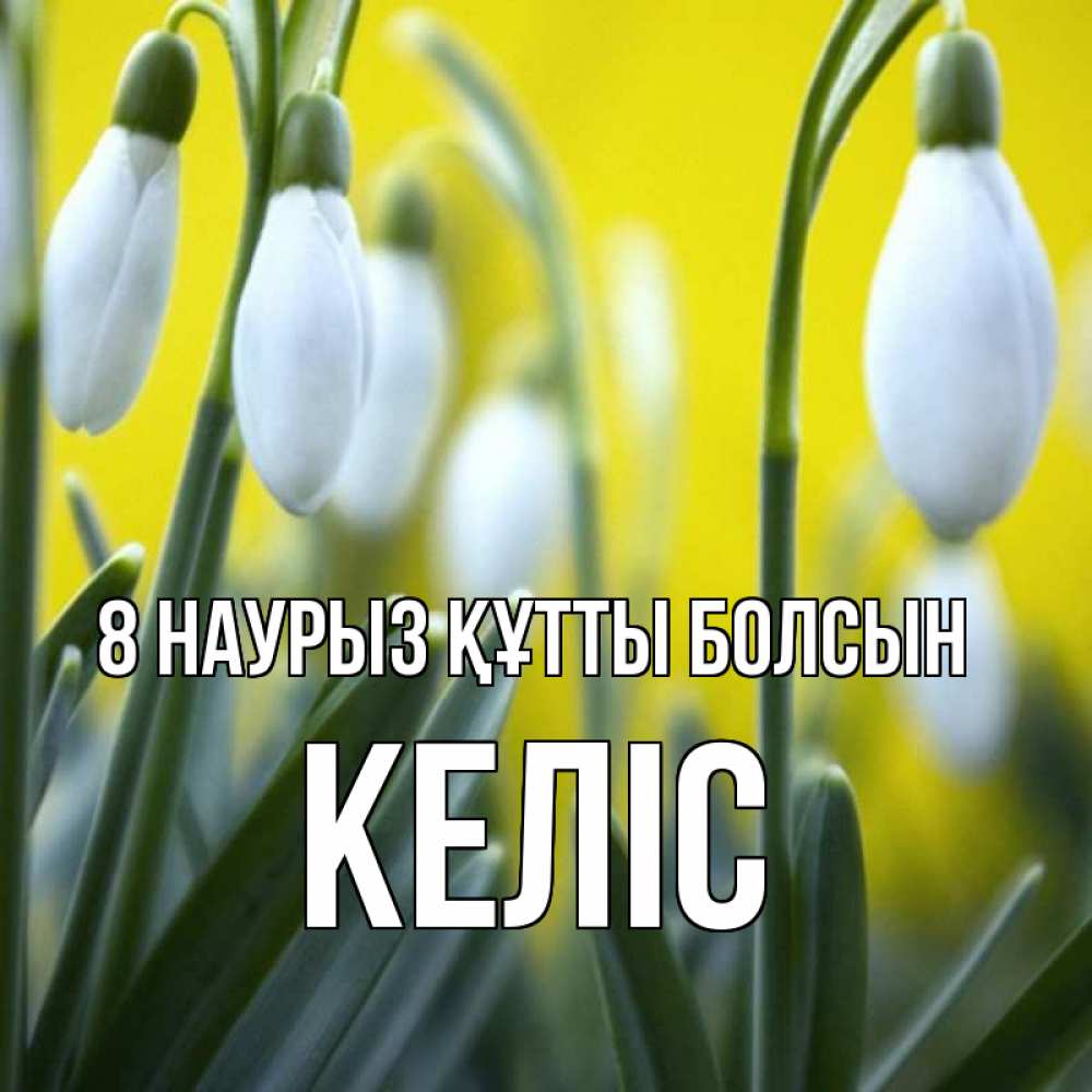 Күн сайын ашық хат с именем, Келіс 8 наурыз құтты болсын весенние цветы Онлайн тегін жүктеп алу тілектері бар керемет карта 