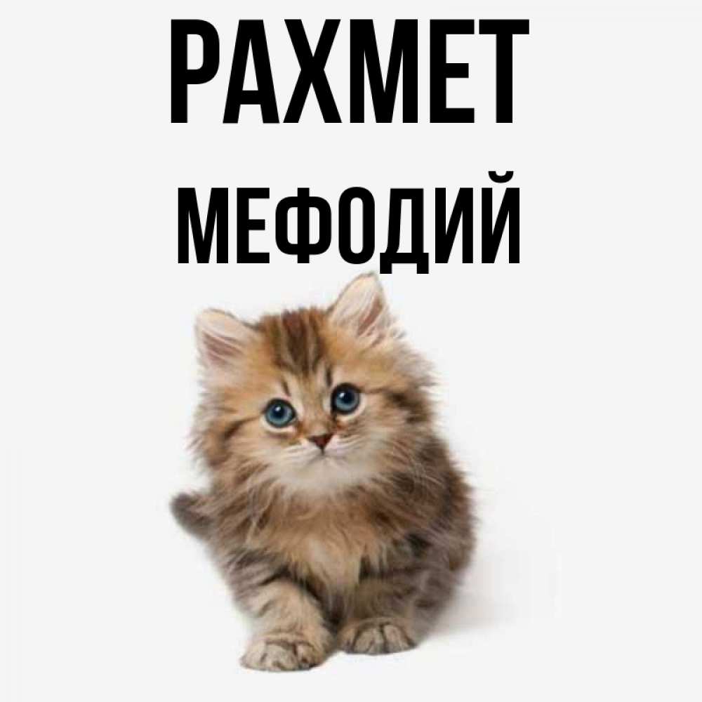 Күн сайын ашық хат с именем, Мефодий рахмет пушистый котик Онлайн тегін жүктеп алу тілектері бар керемет карта 