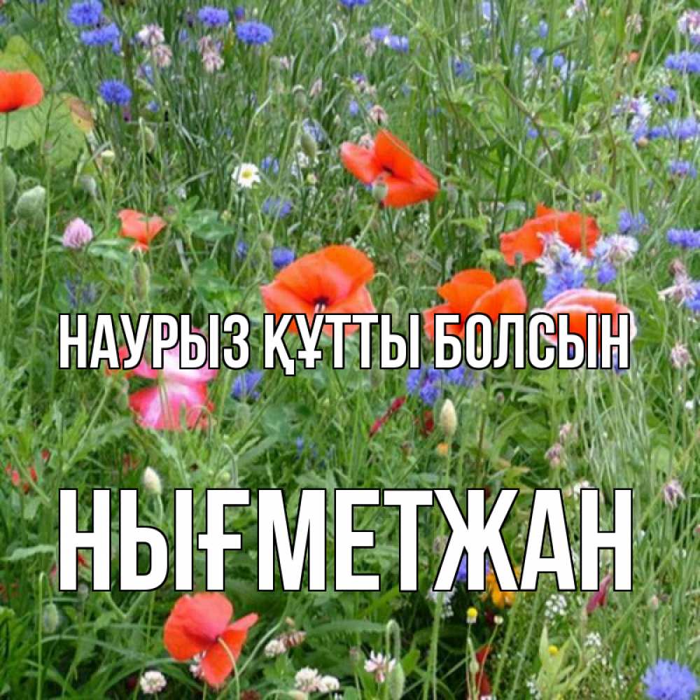 Күн сайын ашық хат с именем, НЫҒМЕТЖАН Наурыз құтты болсын наурыз  4 Онлайн тегін жүктеп алу тілектері бар керемет карта 