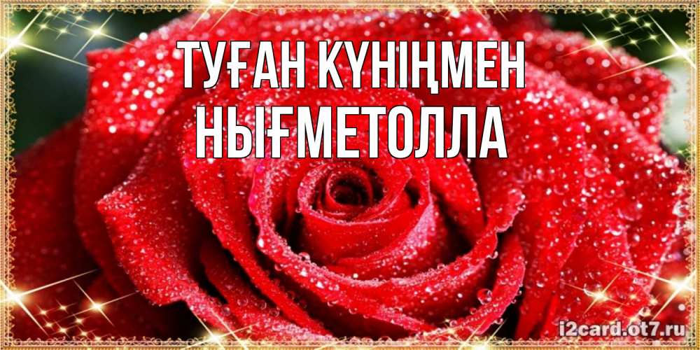 Күн сайын ашық хат с именем, НЫҒМЕТОЛЛА Туған күніңмен роса и роза. открытка с красивой розой Онлайн тегін жүктеп алу тілектері бар керемет карта 