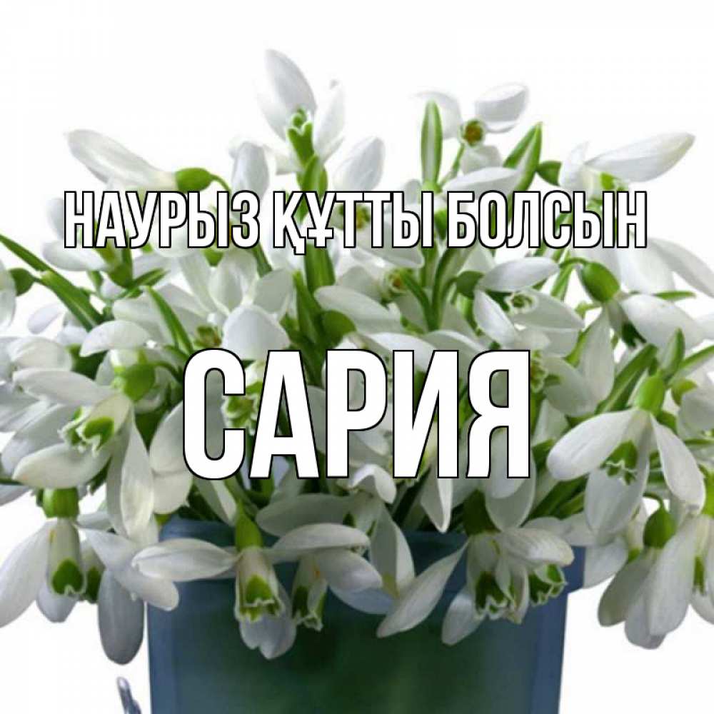 Күн сайын ашық хат с именем, САРИЯ Наурыз құтты болсын цветы к наурызу Онлайн тегін жүктеп алу тілектері бар керемет карта 