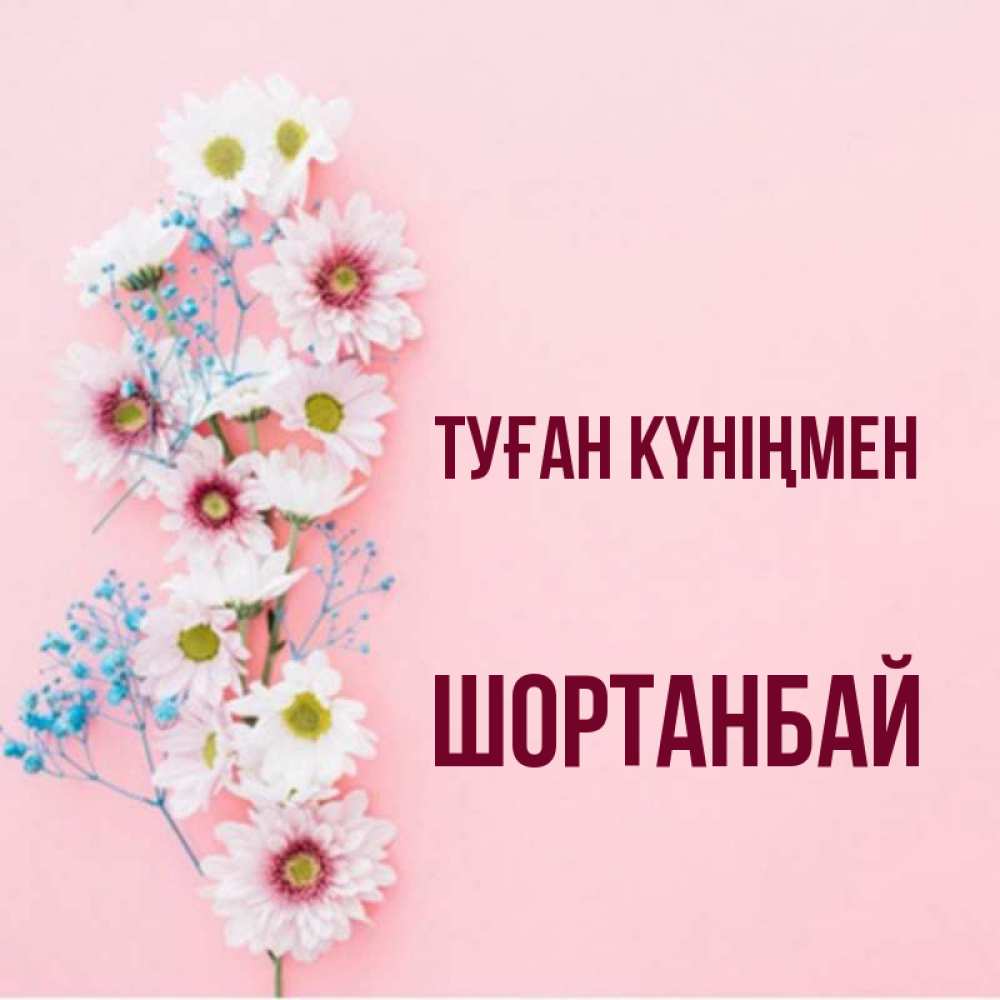 Күн сайын ашық хат с именем, ШОРТАНБАЙ Туған күніңмен Родная моя с днем рождения тебя картинка с цветами белыми и голубыми Онлайн тегін жүктеп алу тілектері бар керемет карта 