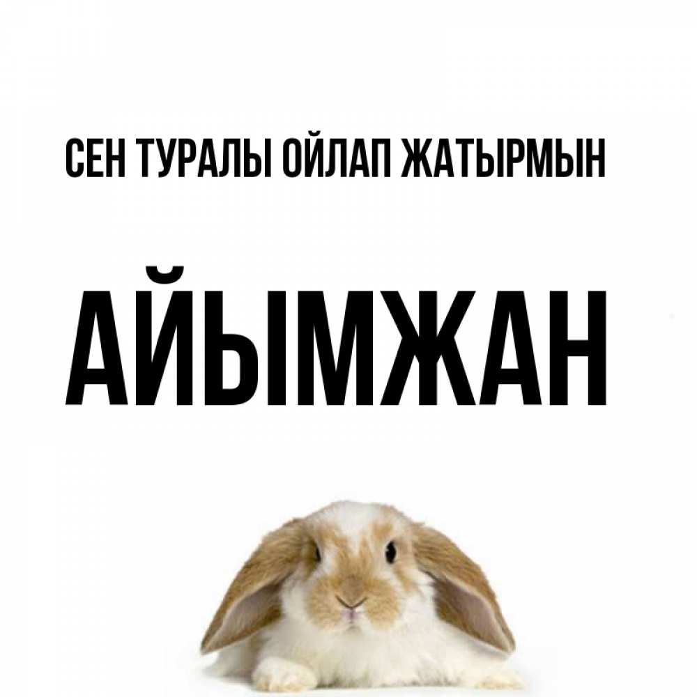 Күн сайын ашық хат с именем, АЙЫМЖАН Сен туралы ойлап жатырмын подписать своими руками онлайн Онлайн тегін жүктеп алу тілектері бар керемет карта 