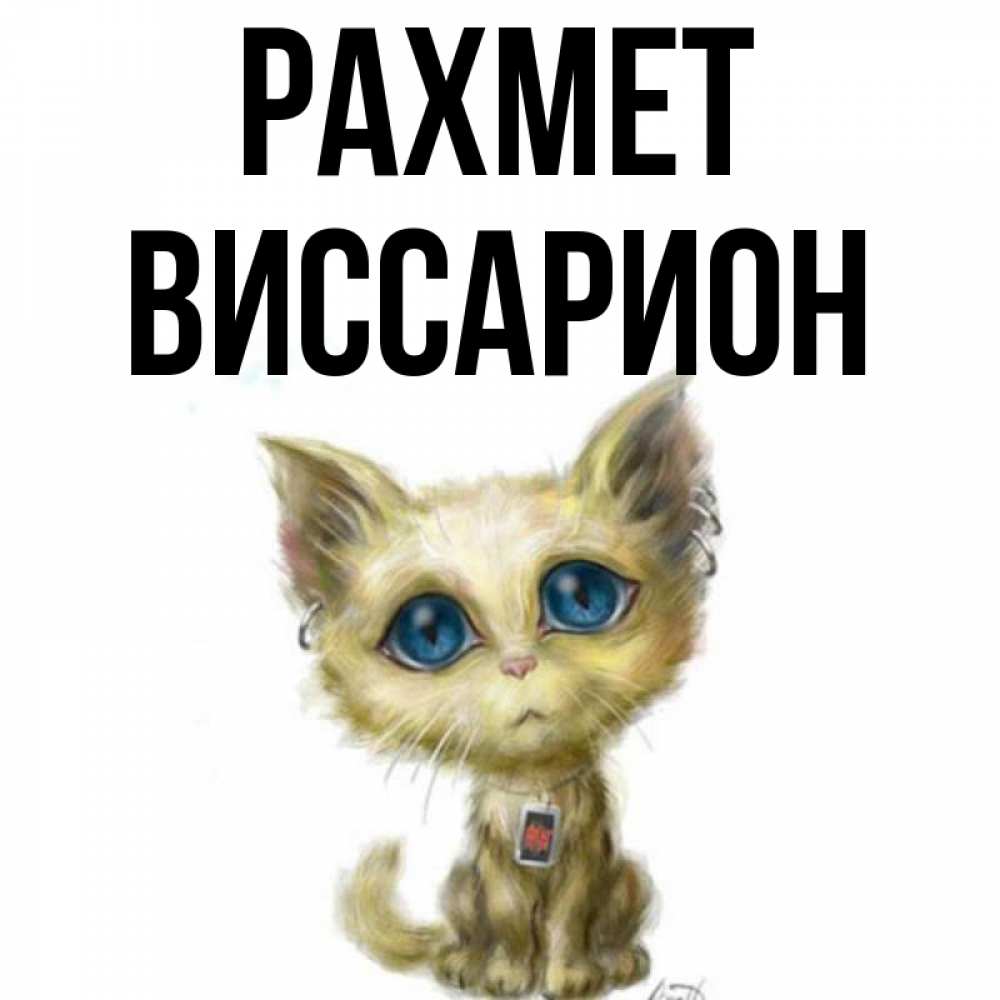 Күн сайын ашық хат с именем, Виссарион рахмет рисованный кот благодарит вас Онлайн тегін жүктеп алу тілектері бар керемет карта 