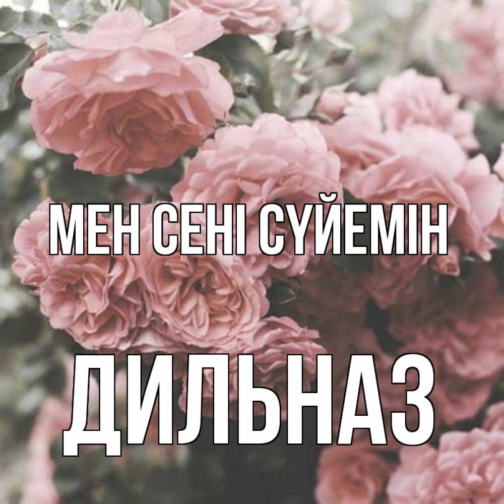 Күн сайын ашық хат с именем, ДИЛЬНАЗ Мен сені сүйемін розы 3 Онлайн тегін жүктеп алу тілектері бар керемет карта 