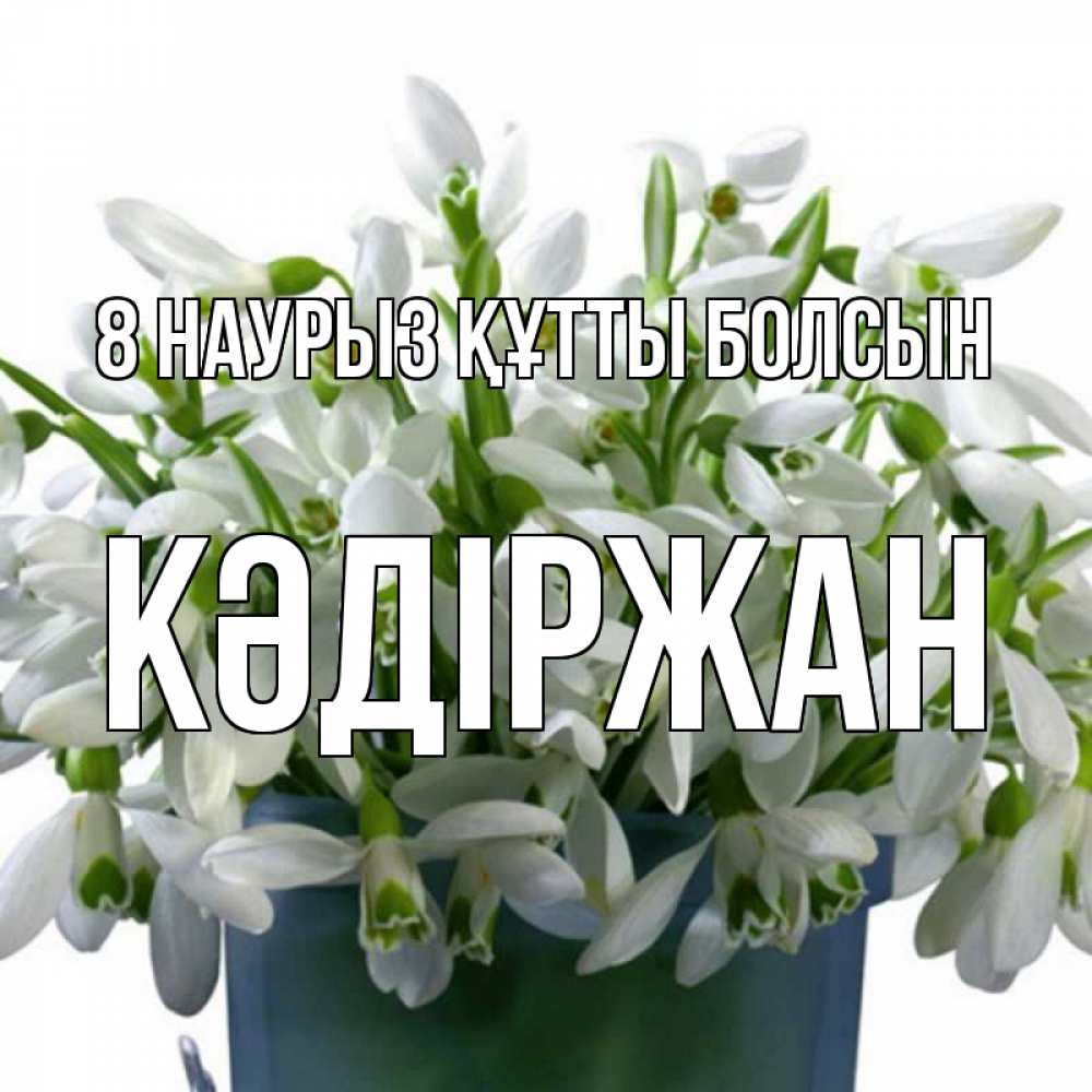 Күн сайын ашық хат с именем, Кәдіржан 8 наурыз құтты болсын цветы к международному женскому дню Онлайн тегін жүктеп алу тілектері бар керемет карта 