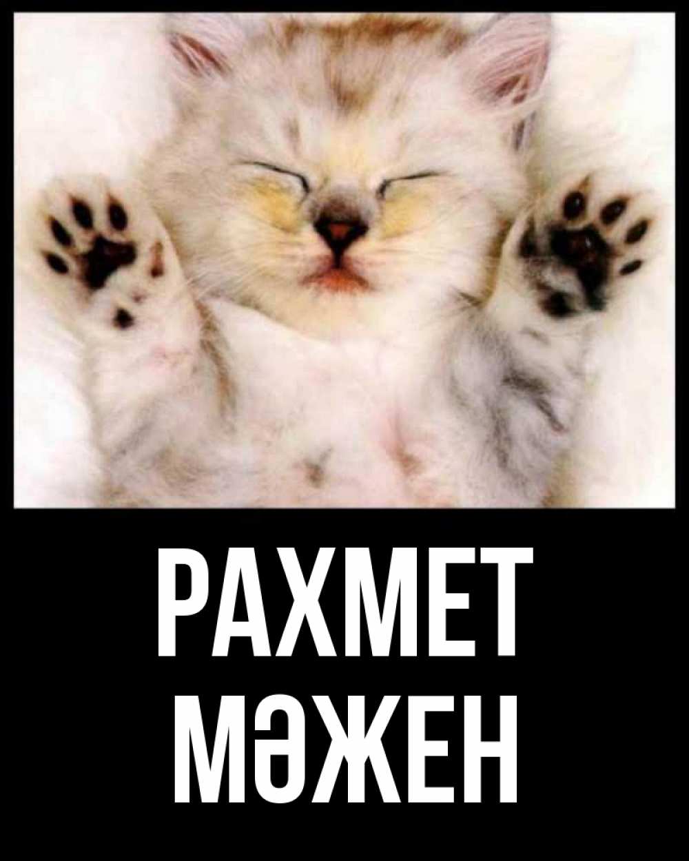 Күн сайын ашық хат с именем, МӘЖЕН рахмет маленький котенок Онлайн тегін жүктеп алу тілектері бар керемет карта 