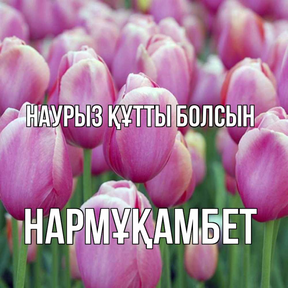 Күн сайын ашық хат с именем, НАРМҰҚАМБЕТ Наурыз құтты болсын на наурыз  день 3 Онлайн тегін жүктеп алу тілектері бар керемет карта 