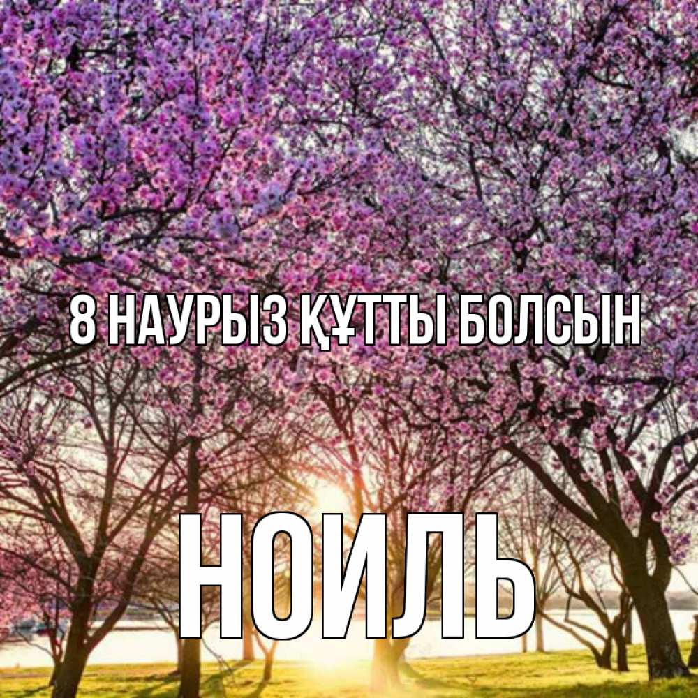 Күн сайын ашық хат с именем, НОИЛЬ 8 наурыз құтты болсын международный женский день Онлайн тегін жүктеп алу тілектері бар керемет карта 