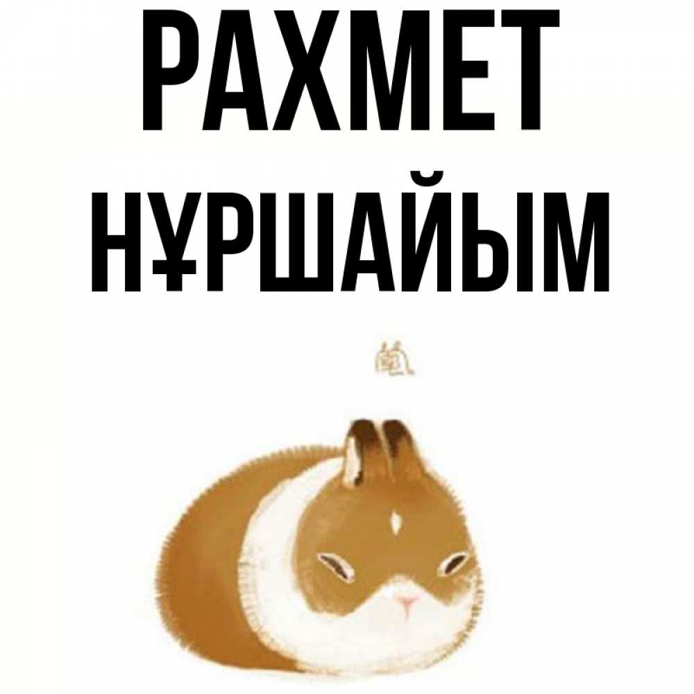 Күн сайын ашық хат с именем, НҰРШАЙЫМ рахмет коричнево белый домашний питомец Онлайн тегін жүктеп алу тілектері бар керемет карта 