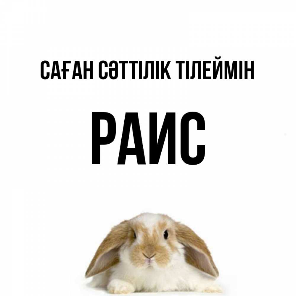 Күн сайын ашық хат с именем, Раис Саған сәттілік тілеймін открытки с произвольным текстом который можно вставить в открытку и создать ее самостоятельно бесплатно онлайн Онлайн тегін жүктеп алу тілектері бар керемет карта 