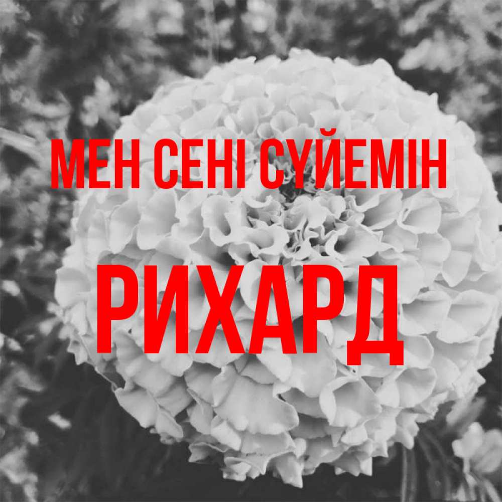 Күн сайын ашық хат с именем, Рихард Мен сені сүйемін подпись Онлайн тегін жүктеп алу тілектері бар керемет карта 