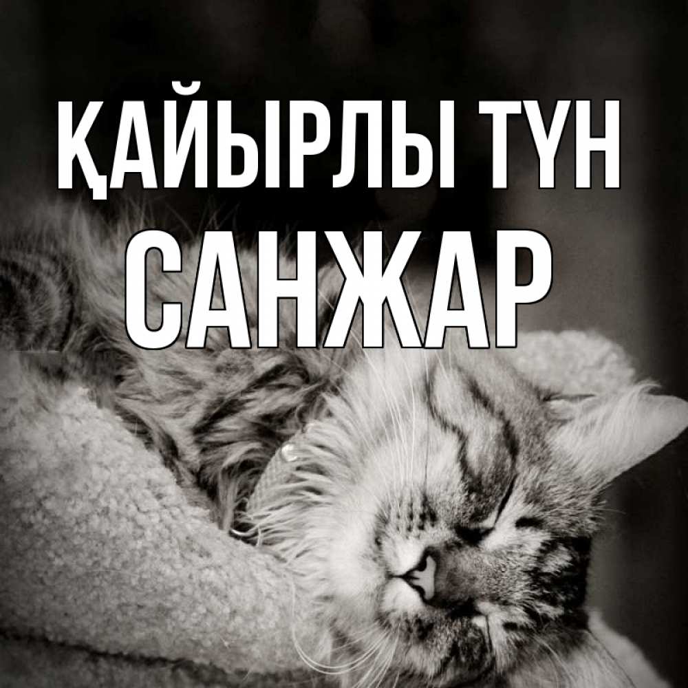 Күн сайын ашық хат с именем, САНЖАР Қайырлы түн котярик пушистый Онлайн тегін жүктеп алу тілектері бар керемет карта 