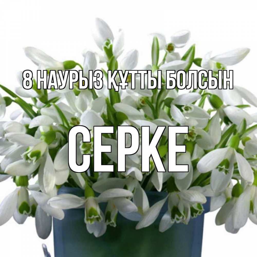 Күн сайын ашық хат с именем, СЕРКЕ 8 наурыз құтты болсын цветы к международному женскому дню Онлайн тегін жүктеп алу тілектері бар керемет карта 