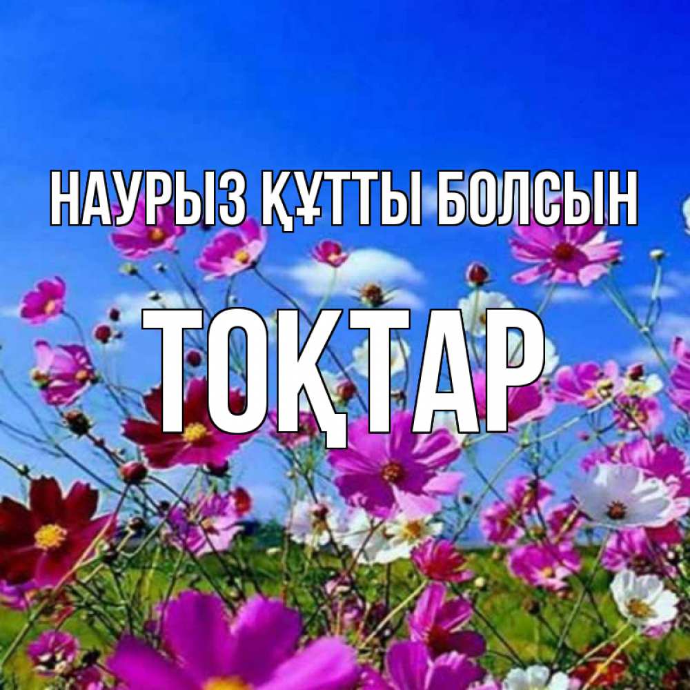 Күн сайын ашық хат с именем, ТОҚТАР Наурыз құтты болсын цветы Онлайн тегін жүктеп алу тілектері бар керемет карта 