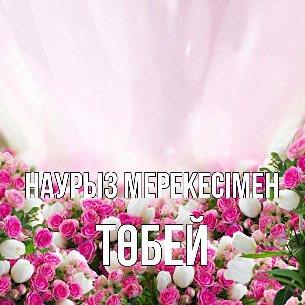 Күн сайын ашық хат с именем, ТӨБЕЙ Наурыз мерекесімен под снегом Онлайн тегін жүктеп алу тілектері бар керемет карта 