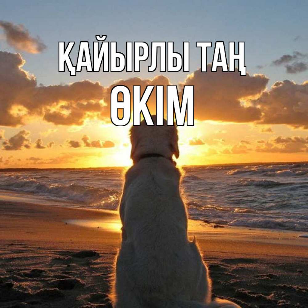 Күн сайын ашық хат с именем, ӨКІМ Қайырлы таң восход солнца Онлайн тегін жүктеп алу тілектері бар керемет карта 