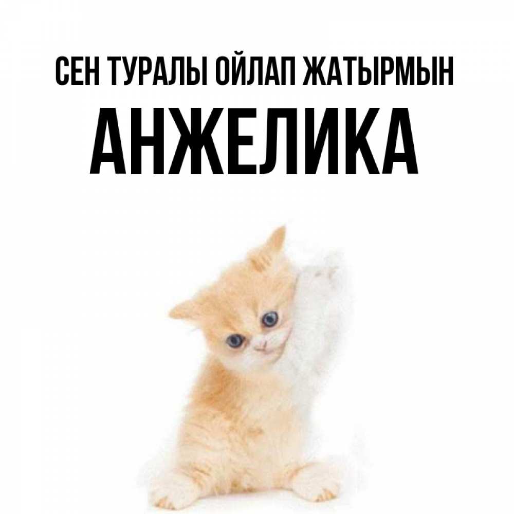 Күн сайын ашық хат с именем, Анжелика Сен туралы ойлап жатырмын зверушки и милота Онлайн тегін жүктеп алу тілектері бар керемет карта 