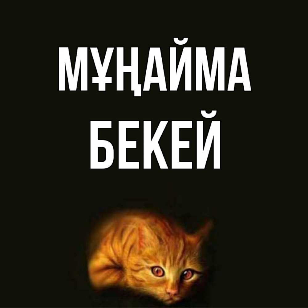 Күн сайын ашық хат с именем, Бекей Мұңайма лежащий кот в темноте Онлайн тегін жүктеп алу тілектері бар керемет карта 