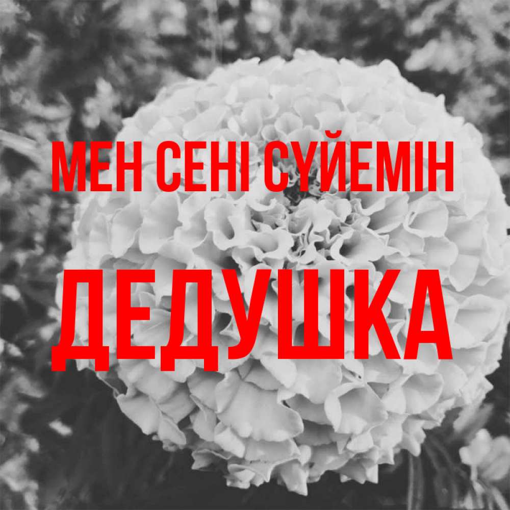 Күн сайын ашық хат с именем, Дедушка Мен сені сүйемін подпись Онлайн тегін жүктеп алу тілектері бар керемет карта 