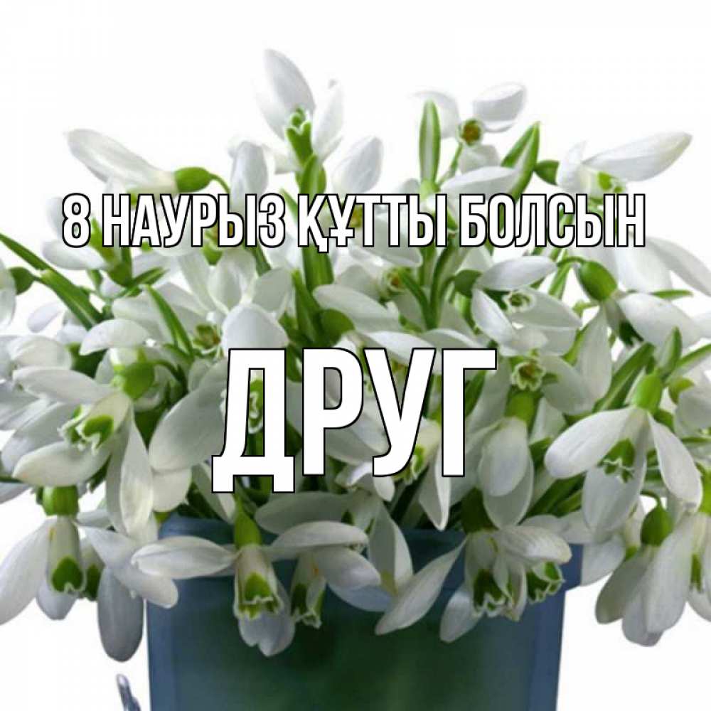 Күн сайын ашық хат с именем, Друг 8 наурыз құтты болсын цветы к международному женскому дню Онлайн тегін жүктеп алу тілектері бар керемет карта 