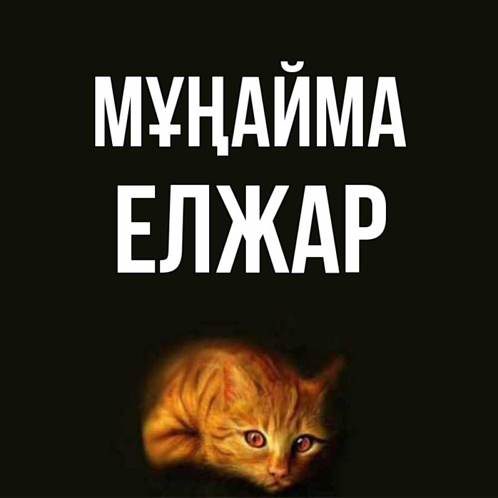 Күн сайын ашық хат с именем, Елжар Мұңайма лежащий кот в темноте Онлайн тегін жүктеп алу тілектері бар керемет карта 