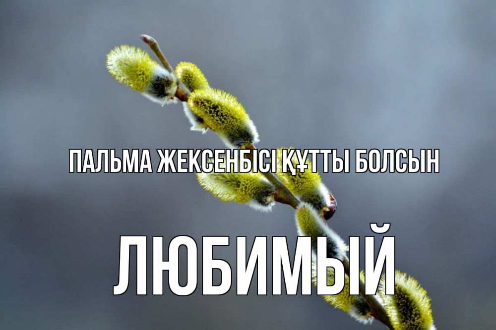 Күн сайын ашық хат с именем, Любимый Пальма жексенбісі құтты болсын верба Онлайн тегін жүктеп алу тілектері бар керемет карта 