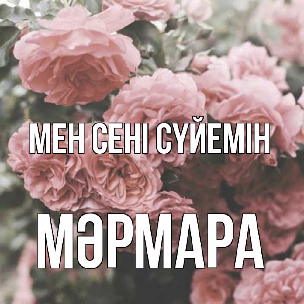 Күн сайын ашық хат с именем, МӘРМАРА Мен сені сүйемін розы 3 Онлайн тегін жүктеп алу тілектері бар керемет карта 