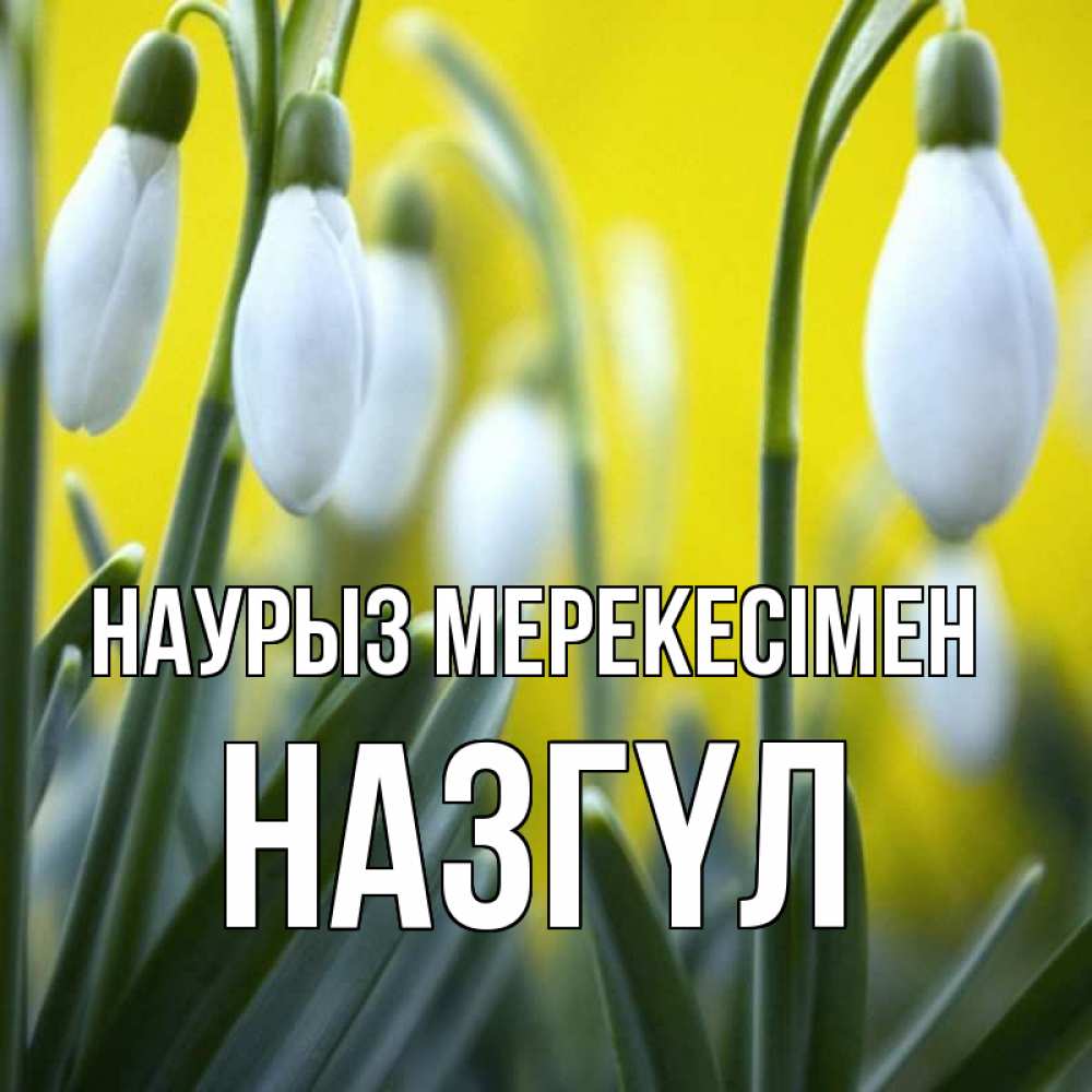 Күн сайын ашық хат с именем, НАЗГҮЛ Наурыз мерекесімен весенние цветы Онлайн тегін жүктеп алу тілектері бар керемет карта 