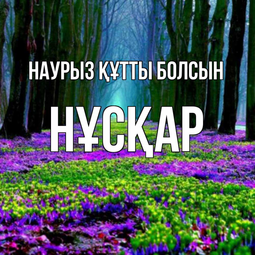 Күн сайын ашық хат с именем, НҰСҚАР Наурыз құтты болсын фиолетовые цветы в лесу 1 Онлайн тегін жүктеп алу тілектері бар керемет карта 