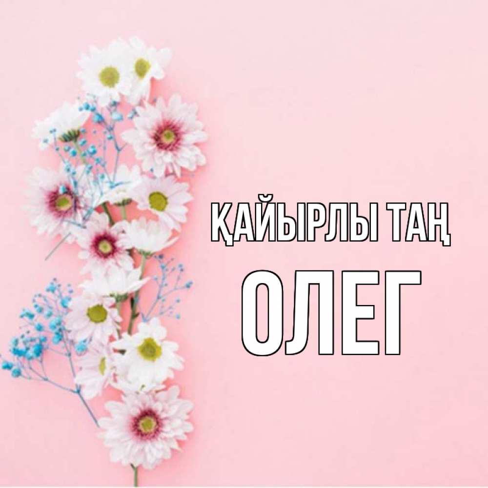 Күн сайын ашық хат с именем, Олег Қайырлы таң цветы с подписью Онлайн тегін жүктеп алу тілектері бар керемет карта 