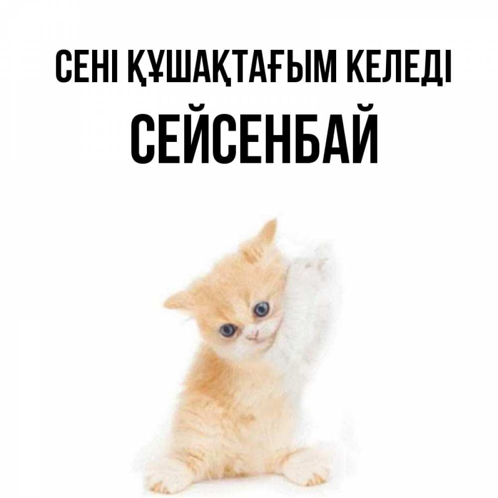 Күн сайын ашық хат с именем, СЕЙСЕНБАЙ сені құшақтағым келеді я хочу очень скорее обнимаешек Онлайн тегін жүктеп алу тілектері бар керемет карта 