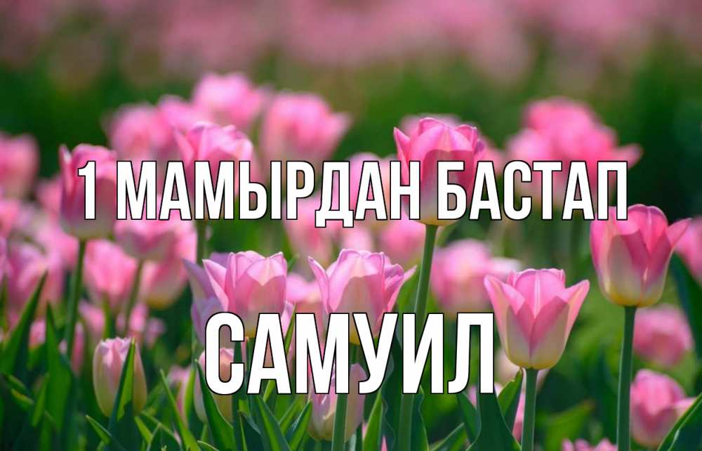 Күн сайын ашық хат с именем, Самуил 1 мамырдан бастап С 1 мая Онлайн тегін жүктеп алу тілектері бар керемет карта 