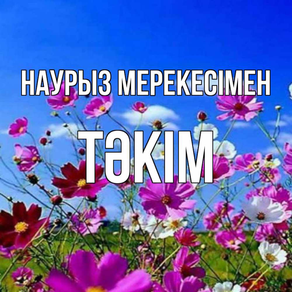 Күн сайын ашық хат с именем, ТӘКІМ Наурыз мерекесімен цветы Онлайн тегін жүктеп алу тілектері бар керемет карта 
