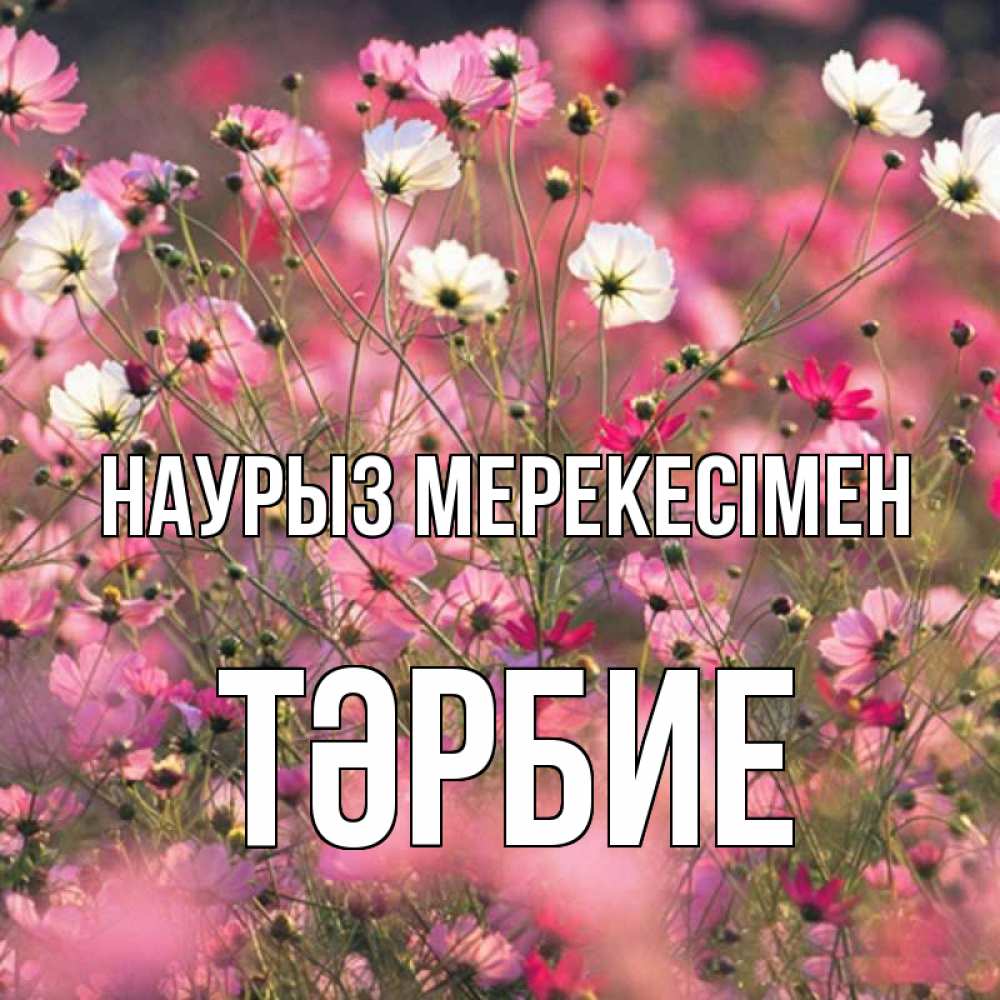 Күн сайын ашық хат с именем, ТӘРБИЕ Наурыз мерекесімен красиво 1 Онлайн тегін жүктеп алу тілектері бар керемет карта 