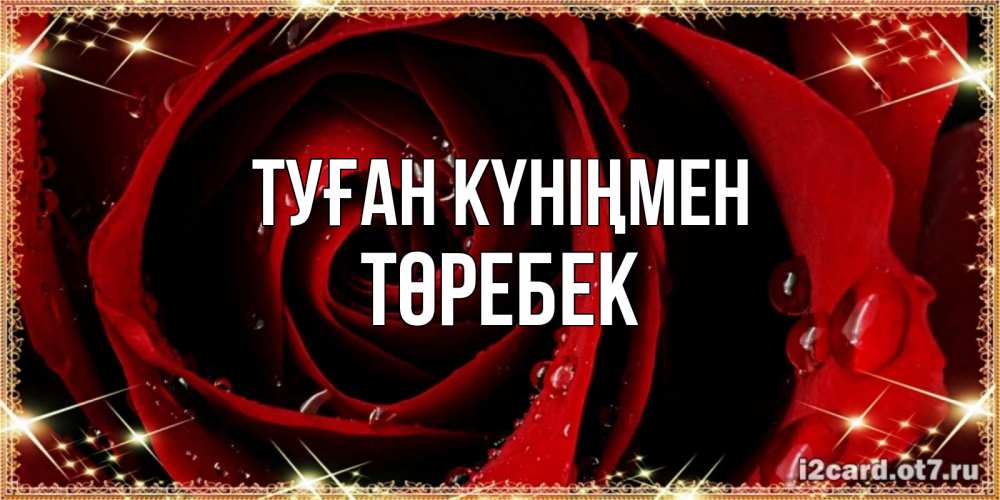 Күн сайын ашық хат с именем, ТӨРЕБЕК Туған күніңмен цветок в росе на день рождения Онлайн тегін жүктеп алу тілектері бар керемет карта 