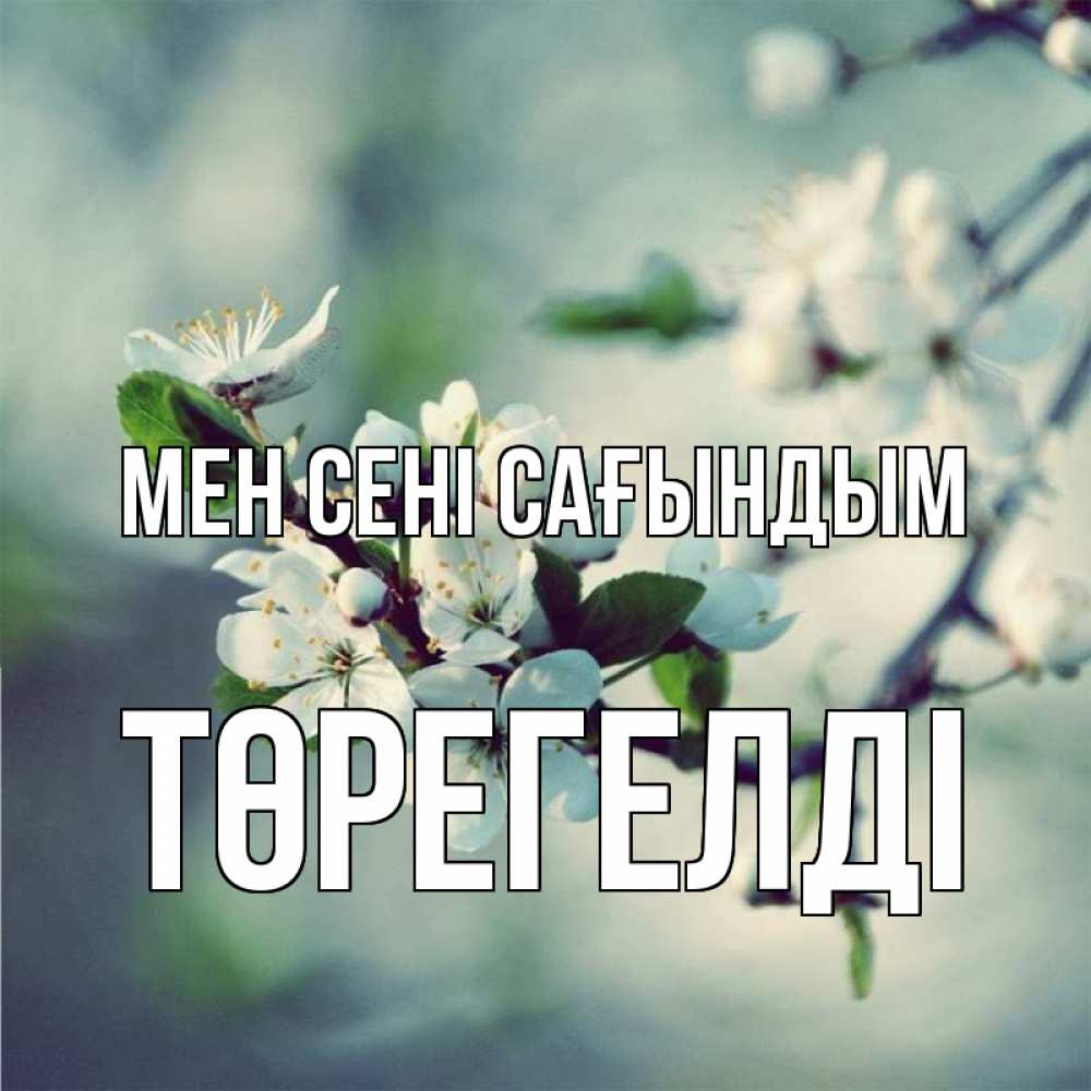 Күн сайын ашық хат с именем, Төрегелді Мен сені сағындым весна Онлайн тегін жүктеп алу тілектері бар керемет карта 