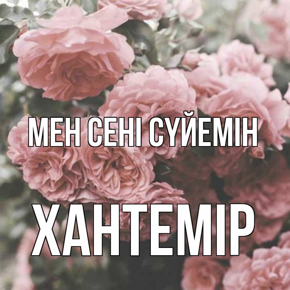 Күн сайын ашық хат с именем, ХАНТЕМІР Мен сені сүйемін розы 3 Онлайн тегін жүктеп алу тілектері бар керемет карта 