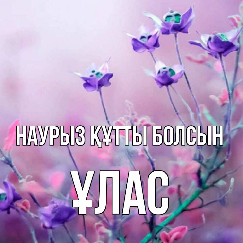 Күн сайын ашық хат с именем, ҰЛАС Наурыз құтты болсын наурыз  2 Онлайн тегін жүктеп алу тілектері бар керемет карта 