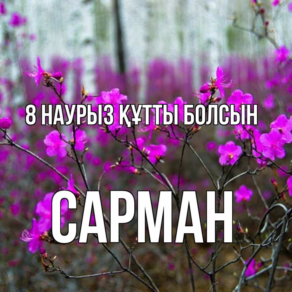 Күн сайын ашық хат с именем, САРМАН 8 наурыз құтты болсын дикие цветы Онлайн тегін жүктеп алу тілектері бар керемет карта 