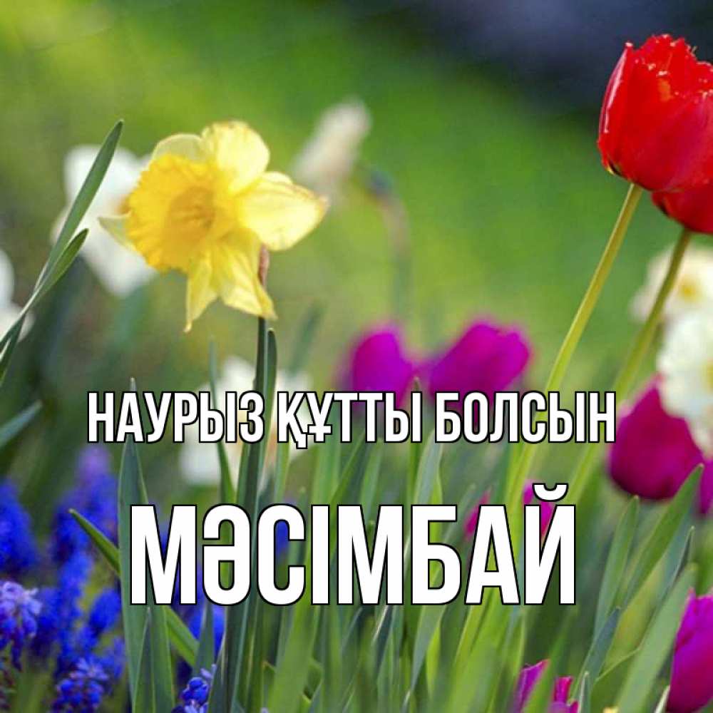 Күн сайын ашық хат с именем, МӘСІМБАЙ Наурыз құтты болсын наурыз  3 открытки Онлайн тегін жүктеп алу тілектері бар керемет карта 