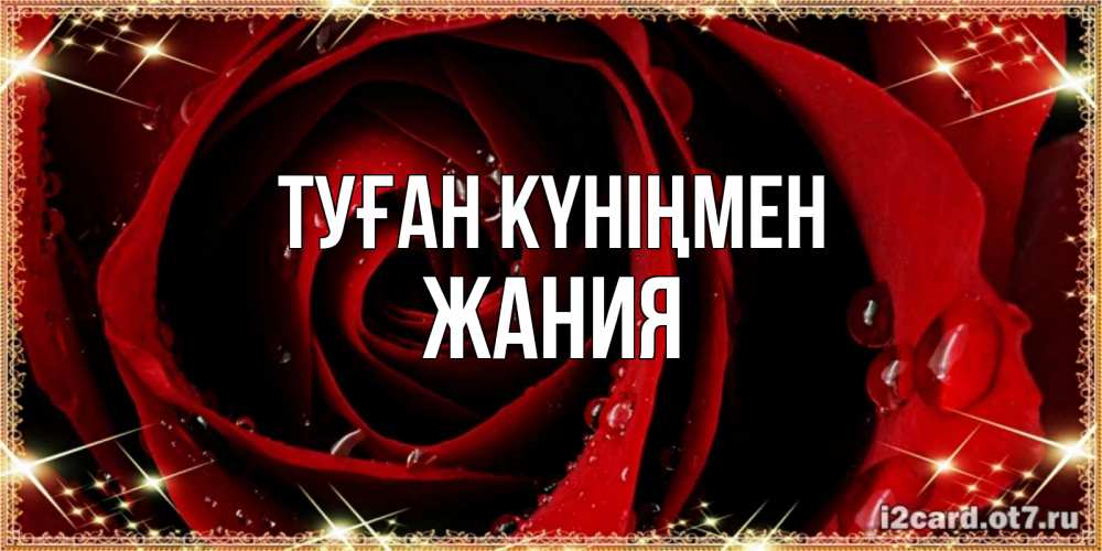 Күн сайын ашық хат с именем, ЖАНИЯ Туған күніңмен цветок в росе на день рождения Онлайн тегін жүктеп алу тілектері бар керемет карта 