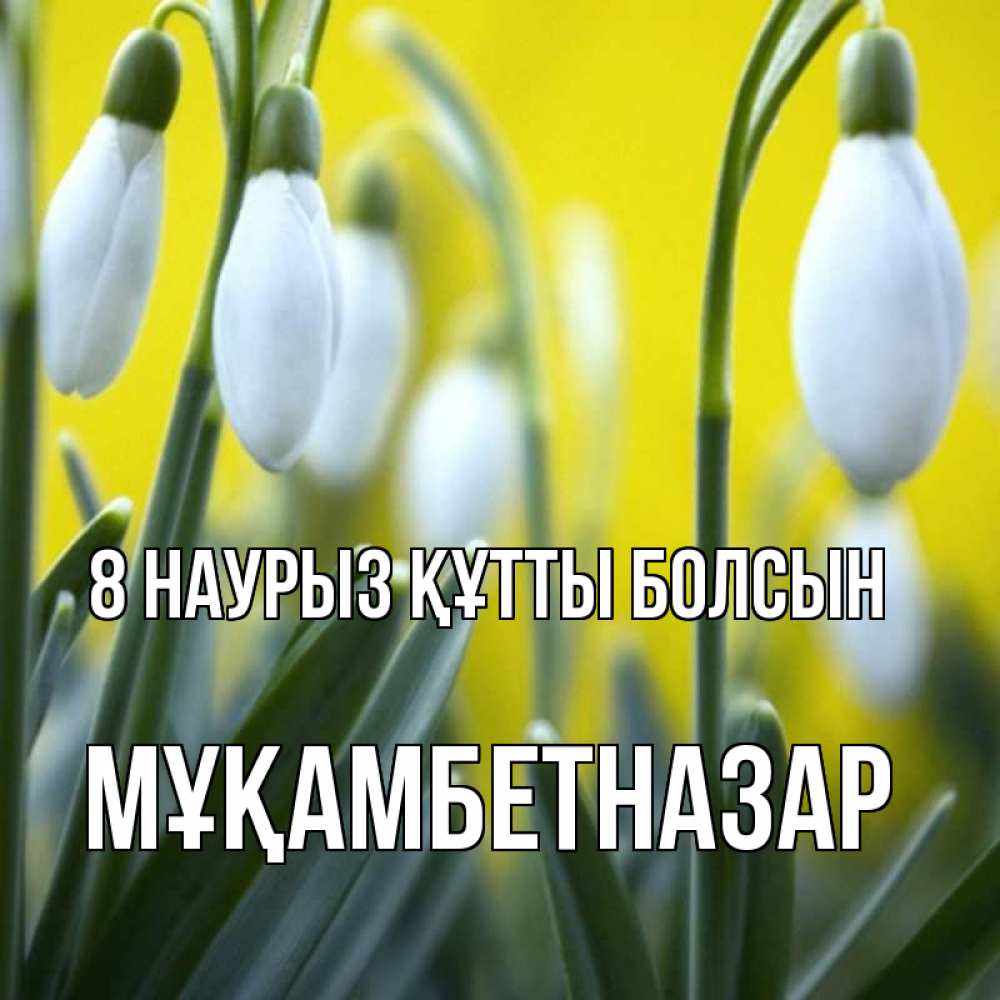 Күн сайын ашық хат с именем, Мұқамбетназар 8 наурыз құтты болсын весенние цветы Онлайн тегін жүктеп алу тілектері бар керемет карта 