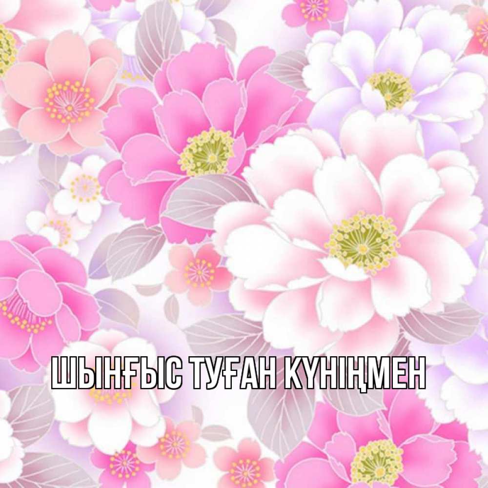 Картинка  с именем , ШЫНҒЫС! ТУҒАН КҮНІҢМЕН!