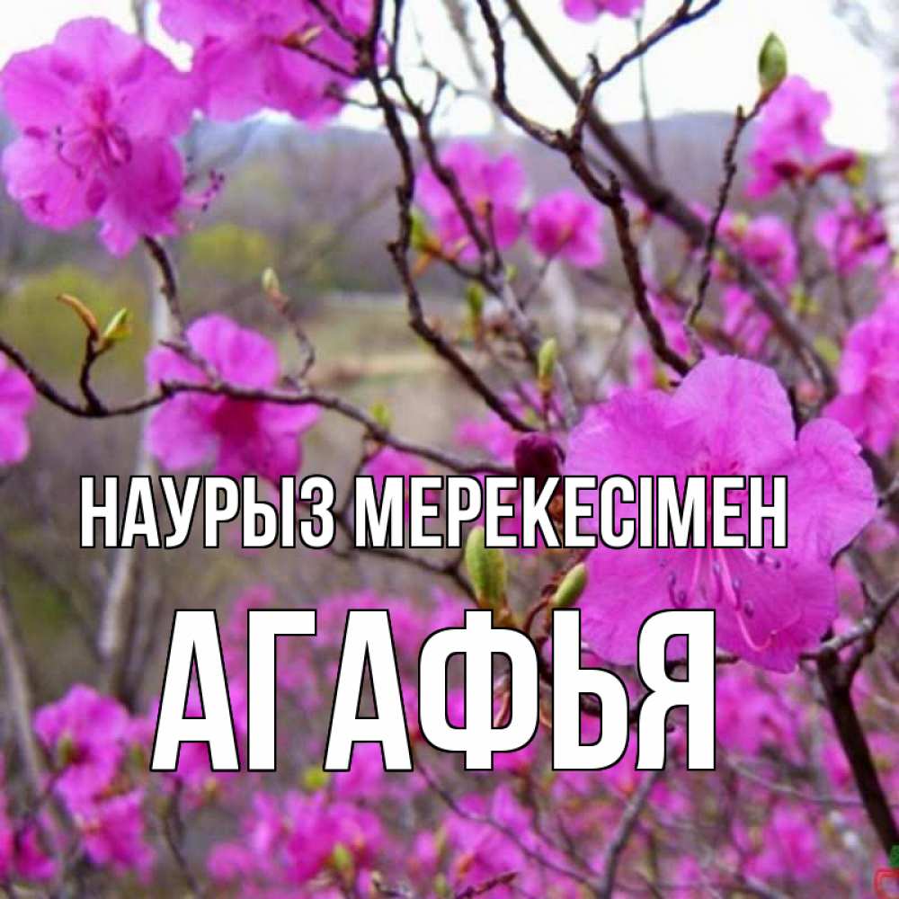 Күн сайын ашық хат с именем, Агафья Наурыз мерекесімен праздник весны наурыз Онлайн тегін жүктеп алу тілектері бар керемет карта 