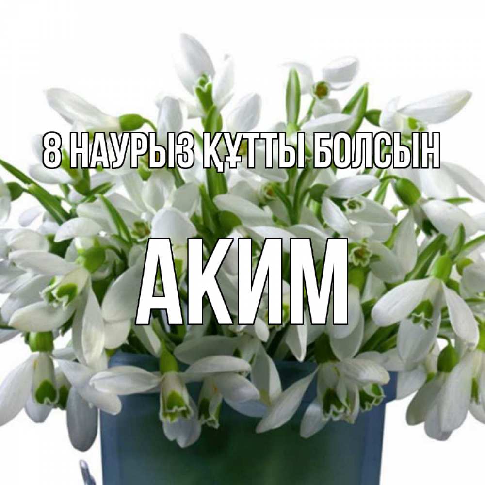 Күн сайын ашық хат с именем, Аким 8 наурыз құтты болсын цветы к международному женскому дню Онлайн тегін жүктеп алу тілектері бар керемет карта 