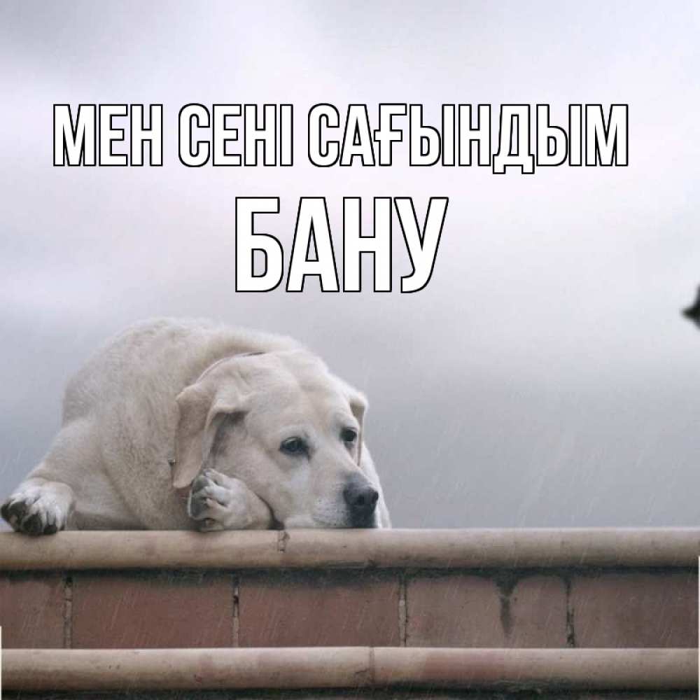 Күн сайын ашық хат с именем, БАНУ Мен сені сағындым ждет Онлайн тегін жүктеп алу тілектері бар керемет карта 
