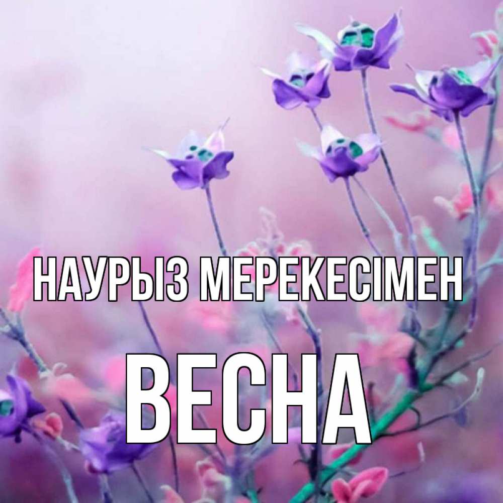 Күн сайын ашық хат с именем, Весна Наурыз мерекесімен международный женский день 2 Онлайн тегін жүктеп алу тілектері бар керемет карта 