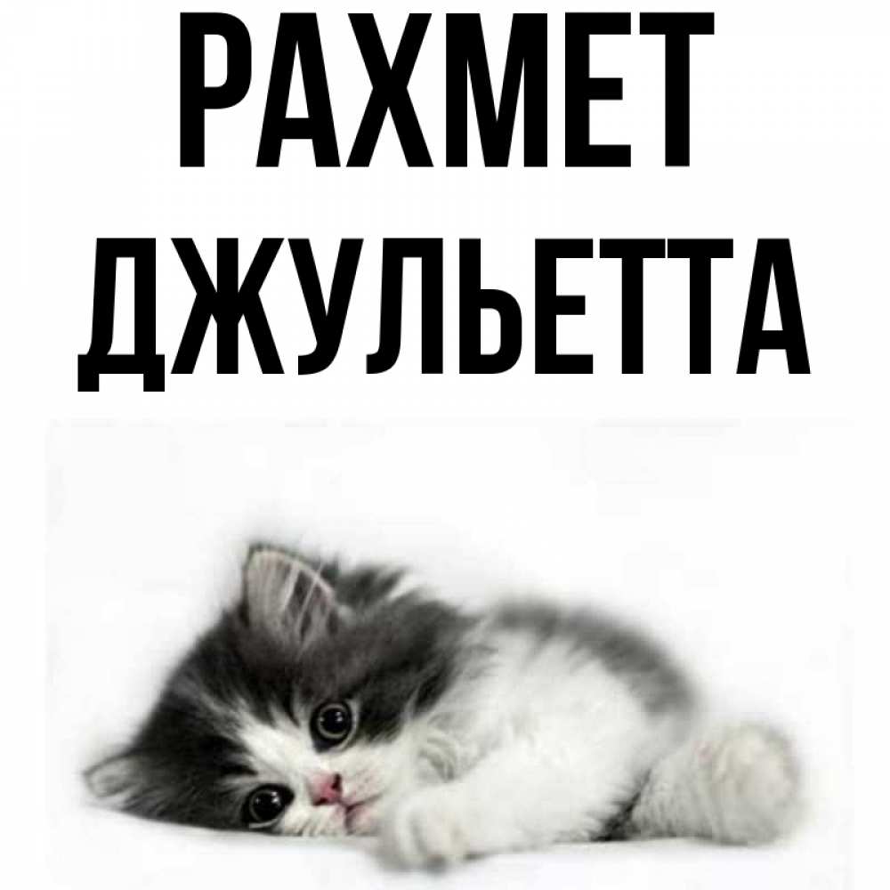 Күн сайын ашық хат с именем, Джульетта рахмет черный и белый кот Онлайн тегін жүктеп алу тілектері бар керемет карта 